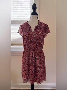 Beautiful Daniel Rainn Dress-L